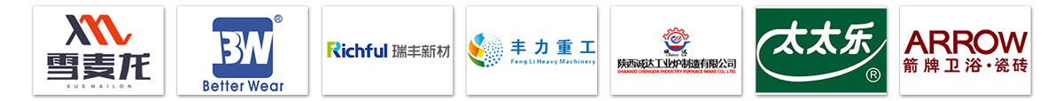 z型斗式提升機客戶案例